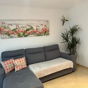  Apartment Parrot's House